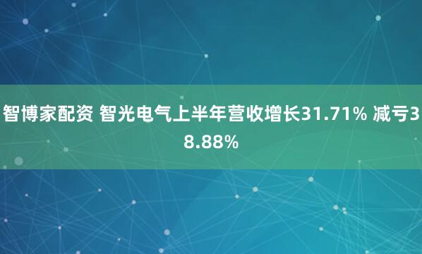 智博家配资 智光电气上半年营收增长31.71% 减亏38.88%
