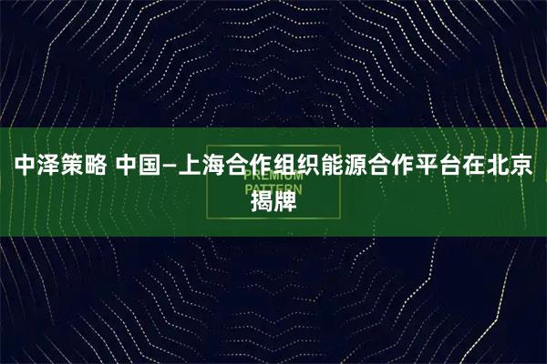 中泽策略 中国—上海合作组织能源合作平台在北京揭牌